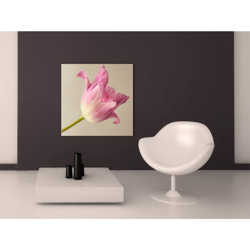 Schilderij  Tulpen: Roze Tulp