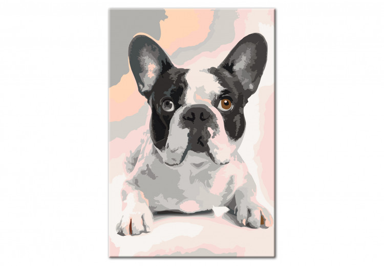 Paint by number French Bulldog  107125 additionalImage 5