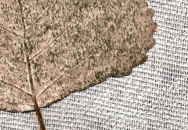 Quadro moderno Foglia in cornice rustica (1 pezzo) - natura su sfondo testurizzato 115025 additionalImage 5