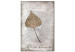 Quadro moderno Foglia in cornice rustica (1 pezzo) - natura su sfondo testurizzato 115025