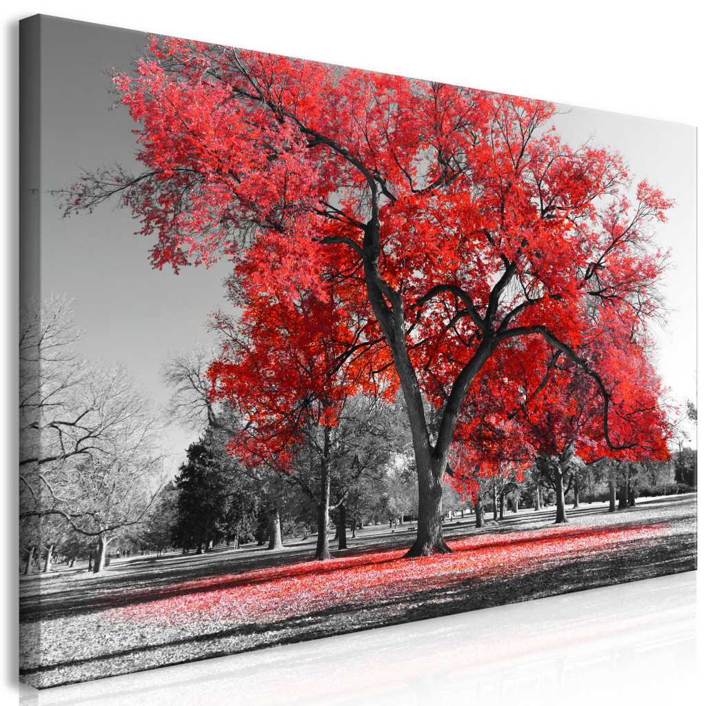 Duży Obraz XXL Jesień W Parku (czerwony) II [Large Format]