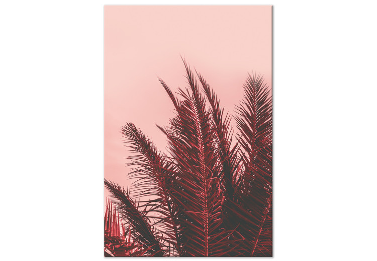 Obraz Czerwona palma - liście palmy w świetle zachodzącego słońca 128825