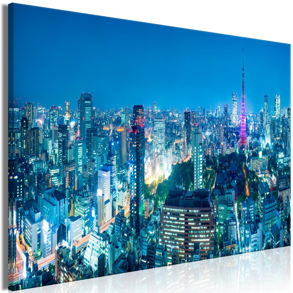 Duży Obraz XXL Tokio: Miasto Wieżowców [Large Format]