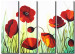 Tableau décoratif Coquelicots parmi l'herbe (4 pièces) - Motif nature avec fleurs rouges 47225