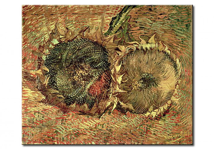 Kunstkopie Zwei geschnittene Sonnenblumen 52525