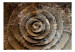 Fototapeta Róża pustyni - abstrakcyjne przedstawienie róży z piasku i kamienia 61025 additionalThumb 1