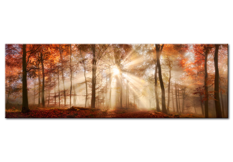 Leinwandbild Autumnal Dawn