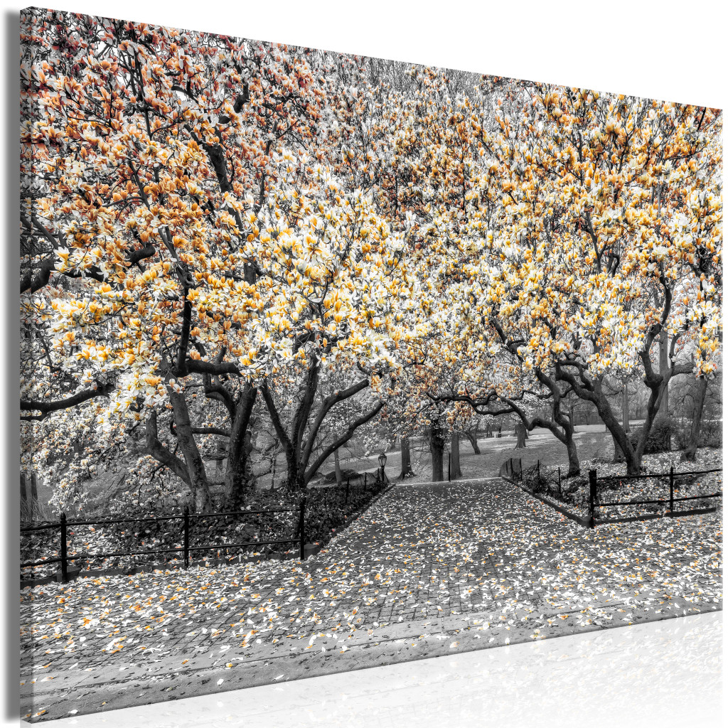 Schilderij Magnolia Park - Orange [Large Format]
