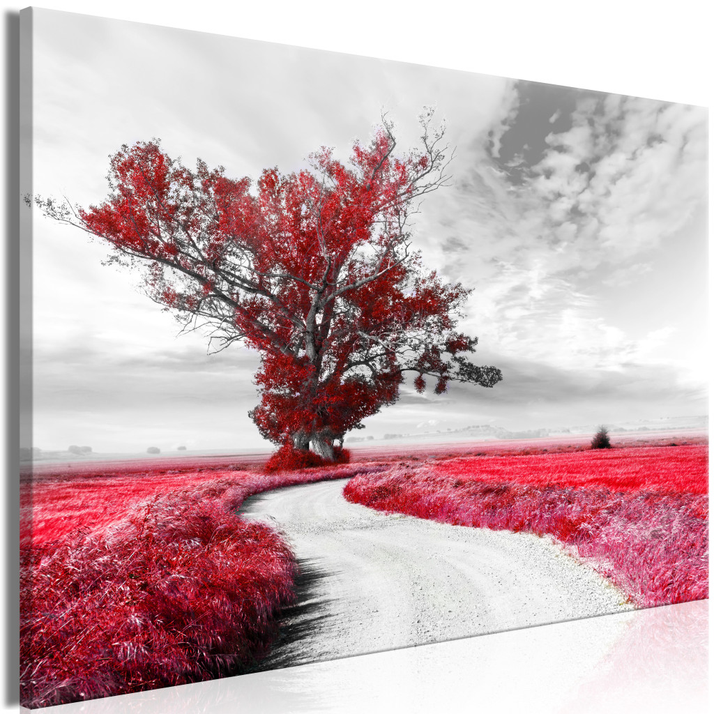 Duży Obraz XXL Drzewo Przy Drodze - Czerwony [Large Format]