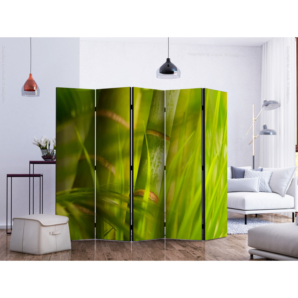 Decoratieve Kamerverdelers  Bamboo - Nature Zen II [Room Dividers]