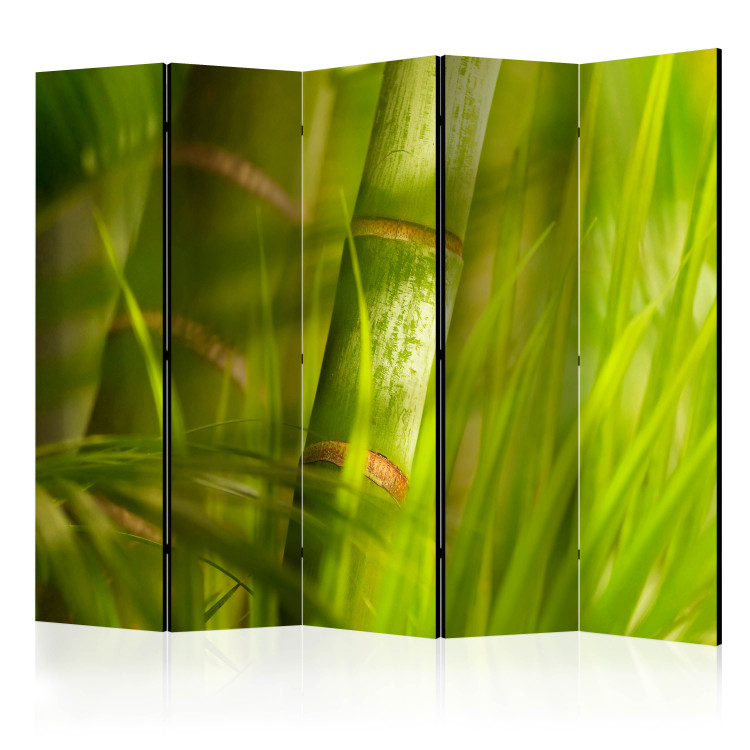 Paravento separè Bamboo - nature zen II [Room Dividers] 132535
