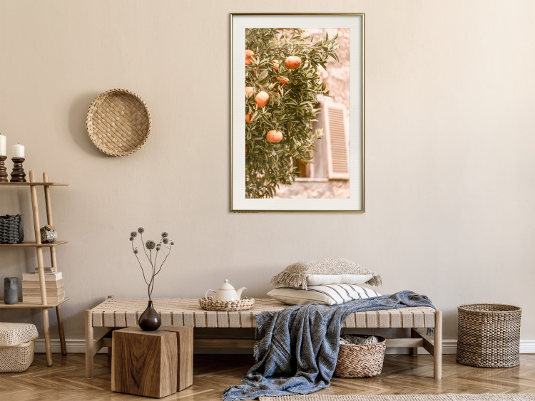 Poster Urban Greenery - Citrus Tree Against the Background of an Old Building 145235 additionalImage 19