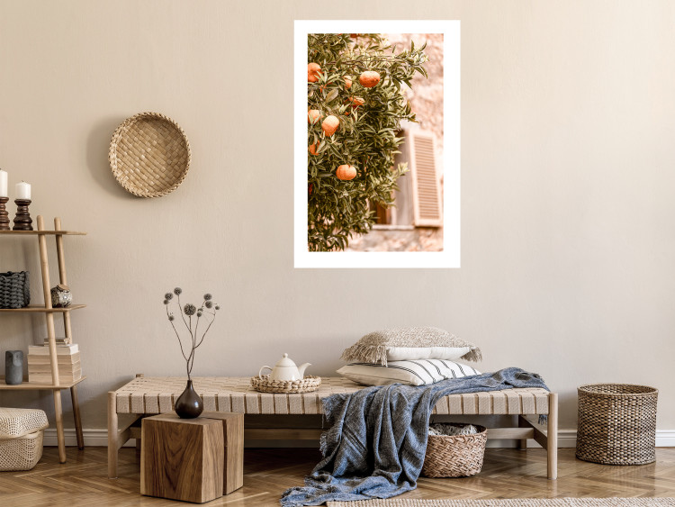 Poster Urban Greenery - Citrus Tree Against the Background of an Old Building 145235 additionalImage 15