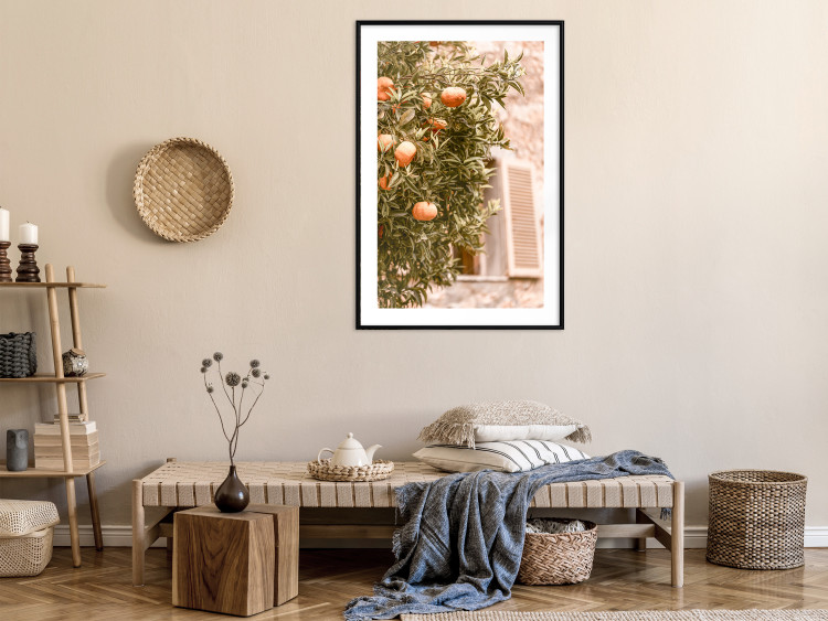 Poster Urban Greenery - Citrus Tree Against the Background of an Old Building 145235 additionalImage 16