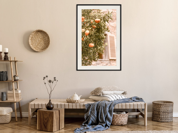 Poster Urban Greenery - Citrus Tree Against the Background of an Old Building 145235 additionalImage 25
