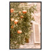 Poster Urban Greenery - Citrus Tree Against the Background of an Old Building 145235 additionalThumb 26