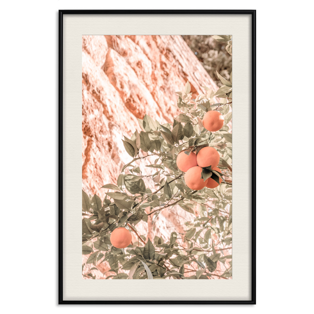 Muur Posters Young Clementines - Branch Of A Mandarin Tree With Fruits