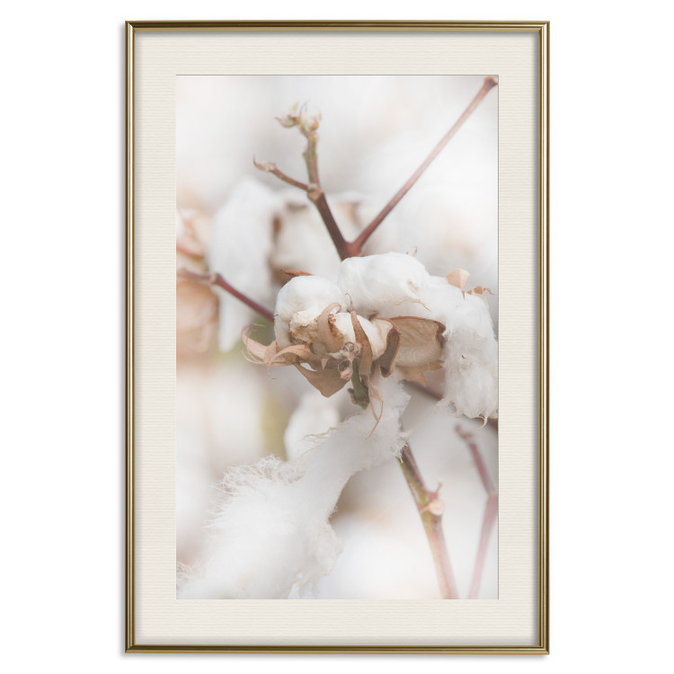Poster Cotton Twigs - Natural Plant Photo in the Style of a Boho 146435 additionalImage 27