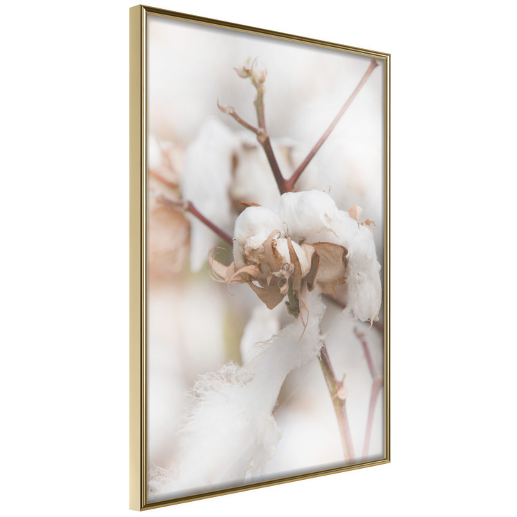 Poster Cotton Twigs - Natural Plant Photo in the Style of a Boho 146435 additionalImage 7