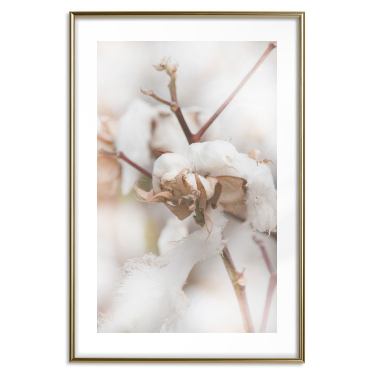 Poster Cotton Twigs - Natural Plant Photo in the Style of a Boho 146435 additionalImage 25