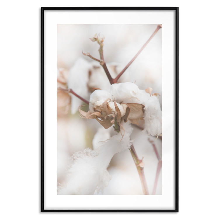 Poster Cotton Twigs - Natural Plant Photo in the Style of a Boho 146435 additionalImage 26
