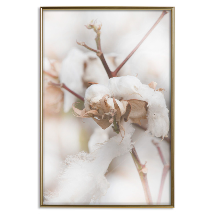 Poster Cotton Twigs - Natural Plant Photo in the Style of a Boho 146435 additionalImage 20