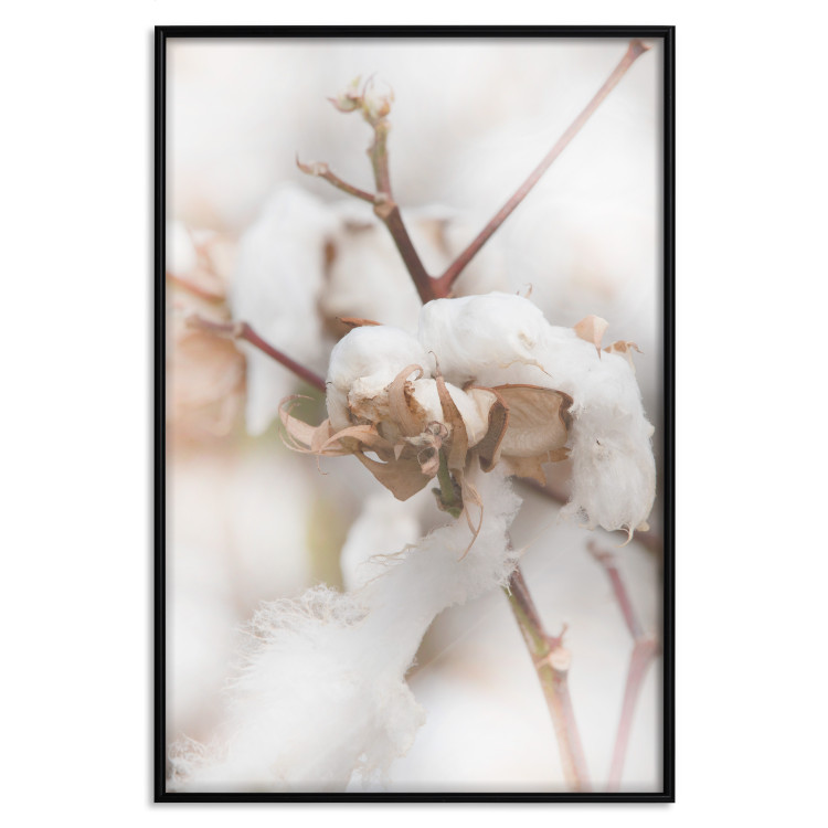 Poster Cotton Twigs - Natural Plant Photo in the Style of a Boho 146435 additionalImage 21