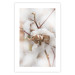 Poster Cotton Twigs - Natural Plant Photo in the Style of a Boho 146435 additionalThumb 23