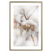 Poster Cotton Twigs - Natural Plant Photo in the Style of a Boho 146435 additionalThumb 25
