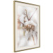 Poster Cotton Twigs - Natural Plant Photo in the Style of a Boho 146435 additionalThumb 16