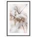 Poster Cotton Twigs - Natural Plant Photo in the Style of a Boho 146435 additionalThumb 26