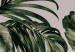 Quadro su tela Tropical Nature - Dark Green Large Leaves on a Gray Background 149735 additionalThumb 5