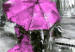 Acrylic Print Walk in London - Pink [Glass] 150635 additionalThumb 5