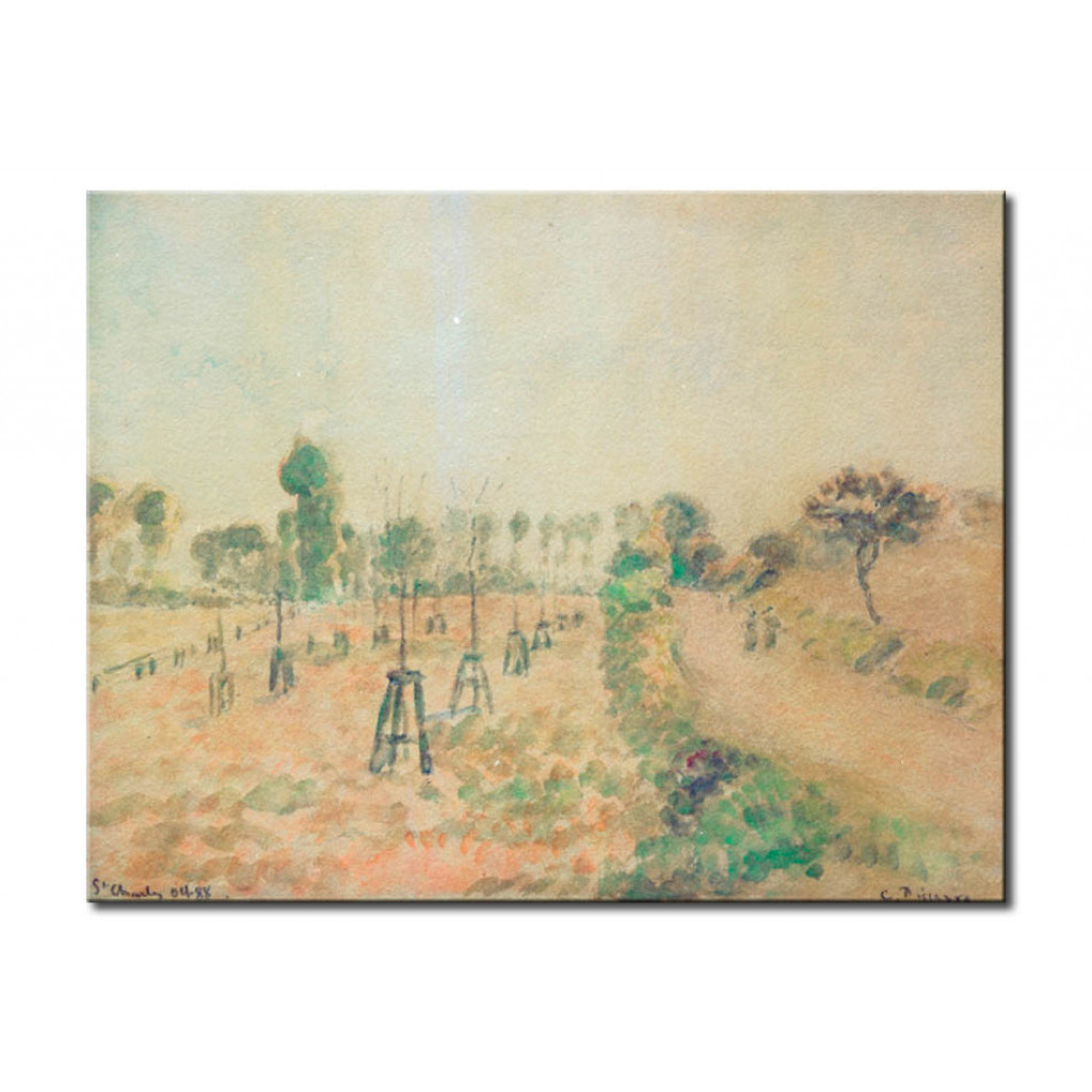 Schilderij  Camille Pissarro: The Field Path