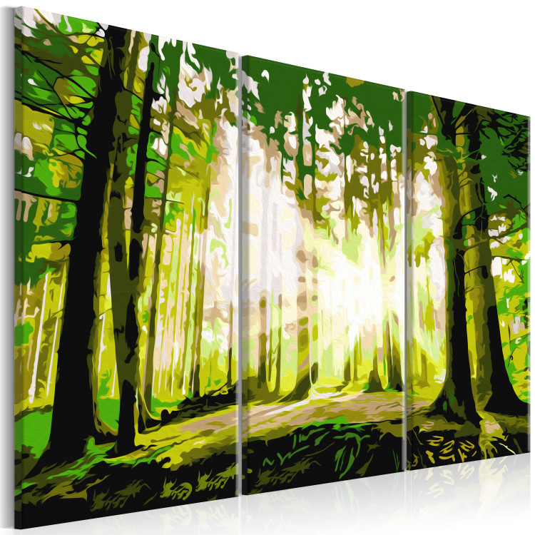 Paint by number Forest (Spring) 107145 additionalImage 5