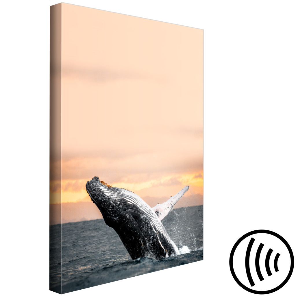 Obraz Wynurzający Się Humbak - Wieloryb Na Tle Zachodzącego Słońca