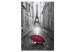 Quadro da dipingere Umbrella in Paris 132145 additionalThumb 6