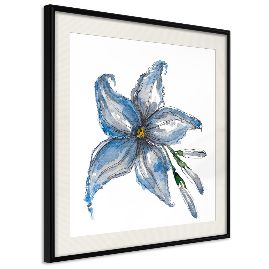 Poster Decorativo Blue Lily [Poster] Square