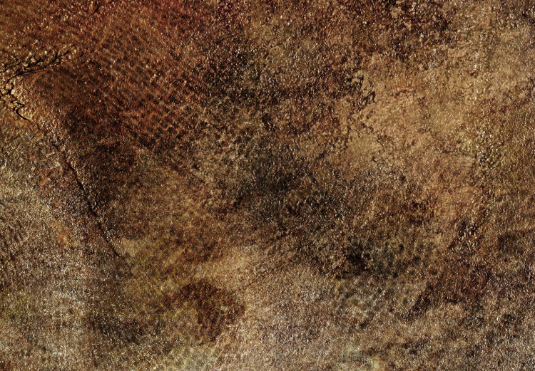 Obraz Poszycie z juki - abstrakcja w rozmytych, brunatnych kolorach 135345 additionalImage 4
