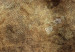 Obraz Poszycie z juki - abstrakcja w rozmytych, brunatnych kolorach 135345 additionalThumb 5