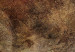 Obraz Poszycie z juki - abstrakcja w rozmytych, brunatnych kolorach 135345 additionalThumb 4