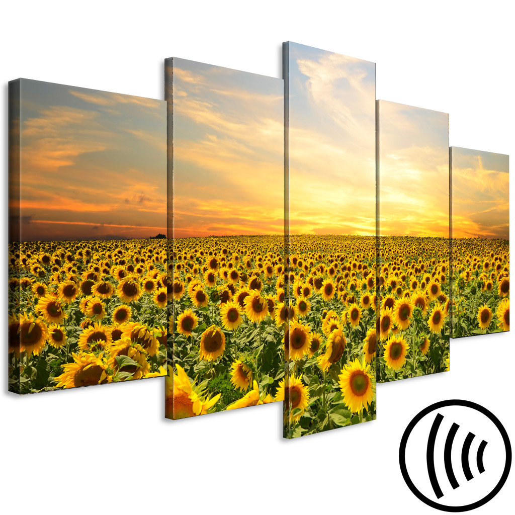 Schilderij  Zonnebloemen: Sunflowers In The Morning (5 Parts) Wide