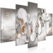 Obraz Biała orchidea - kompozycja z białymi kwiatami z perłami i diamentami 146445 additionalThumb 2
