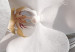 Obraz Biała orchidea - kompozycja z białymi kwiatami z perłami i diamentami 146445 additionalThumb 4