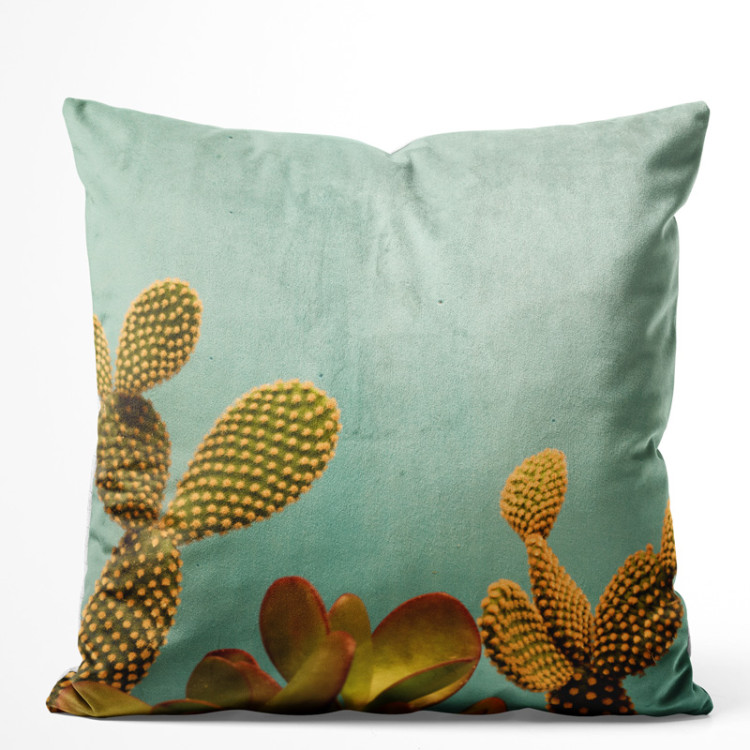 Sammets kudda Cactus sky - a plant composition on a celadon background 147045