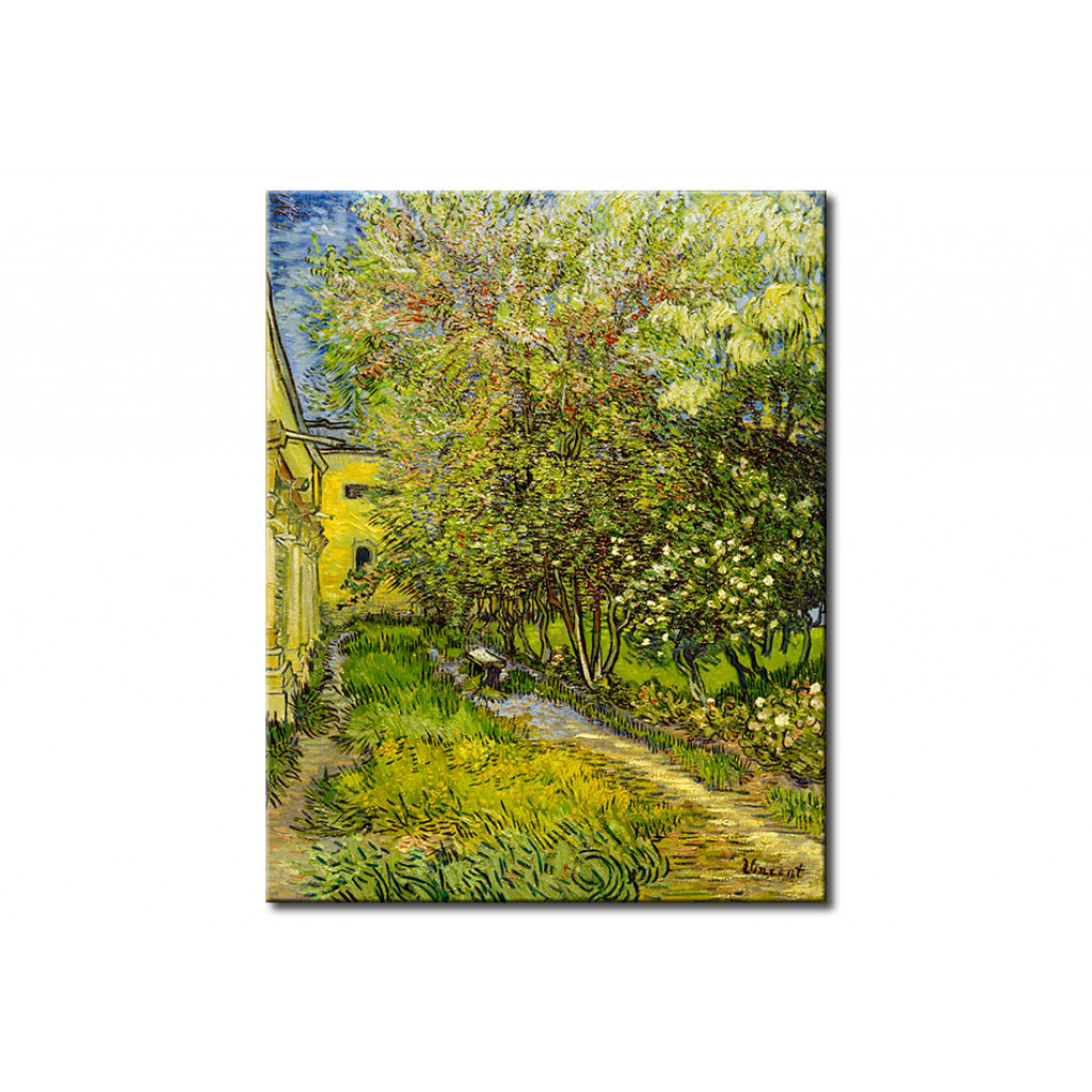 Schilderij  Vincent Van Gogh: Garden Of Saint-Paul Hospital