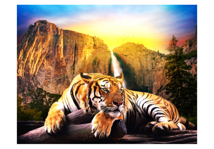 Fototapeta Spokój natury - piękny tygrys leżący na kamieniach przy wodospadzie 59745 additionalImage 1