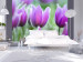 Fototapeta Fioletowe wiosenne tulipany - motyw kwitnących kwiatów z rozmytym tłem 60345