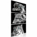 Bild auf Leinwand Snow Leopards (3 Parts) Vertical 108255 additionalThumb 2