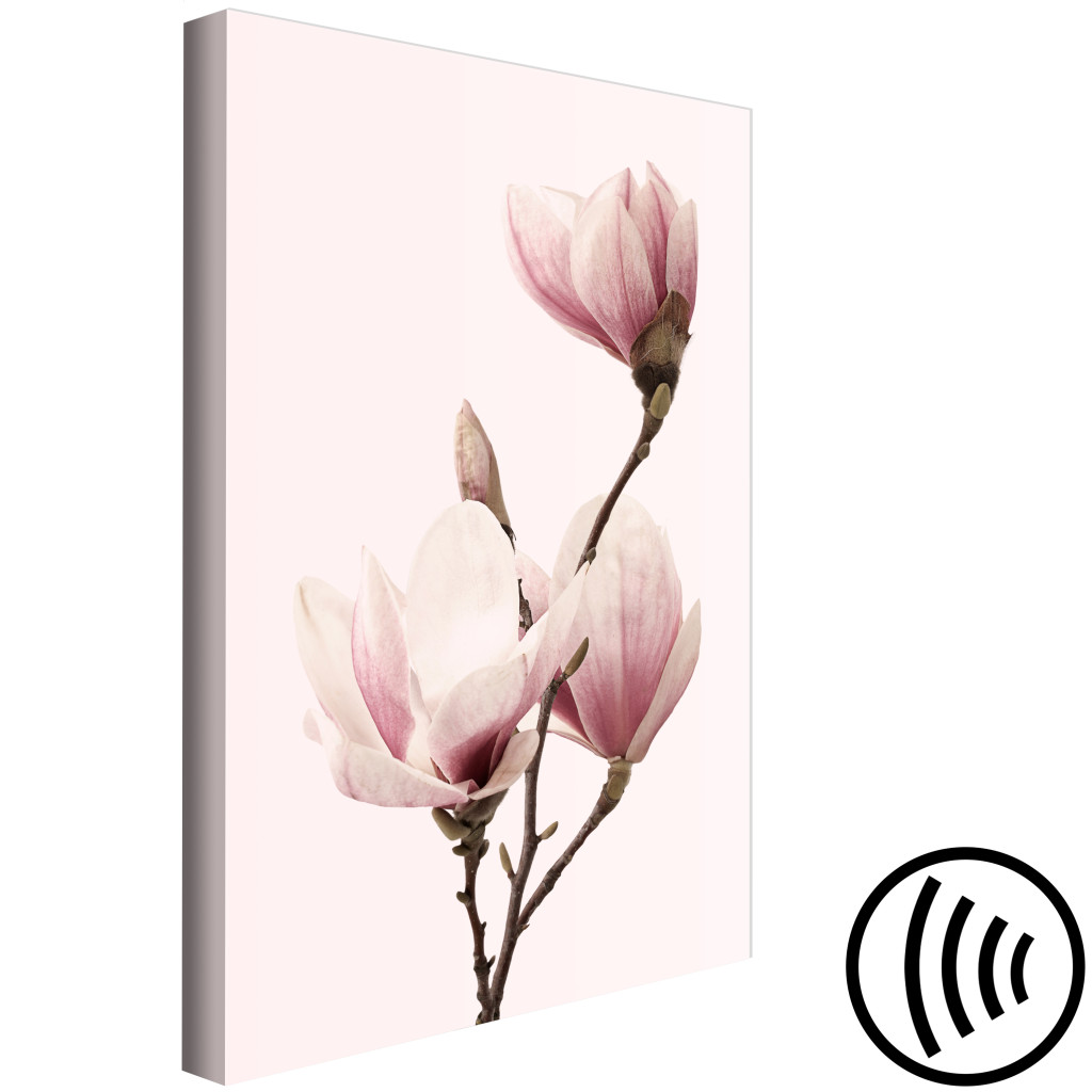 Schilderij  Magnolias: Adem Van De Lente (1-delige Serie) - Roze Magnoliabloem In Een Natuurlijke Tint